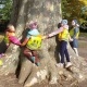 Kinder auf Bäume klettern